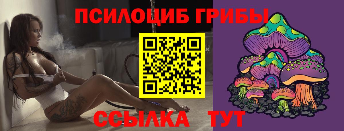 Вязники  Псилоцибиновые грибы Psilocybine cubensis  Галлюциногенные грибы Psilocybe  Вход с VPN 